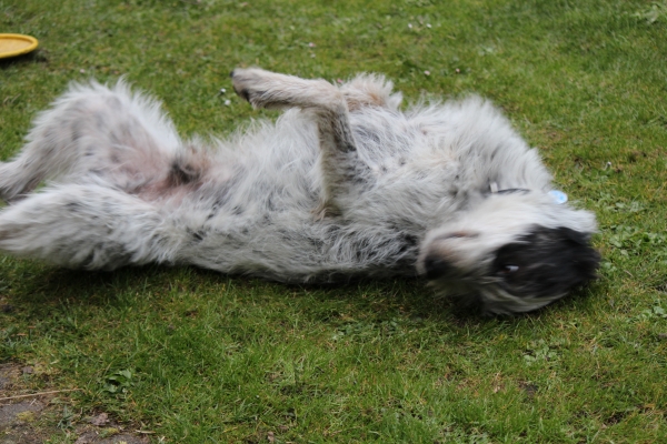 Bildersammlung - unsortiert und nicht kommentiert