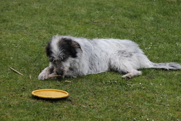 Bildersammlung - unsortiert und nicht kommentiert