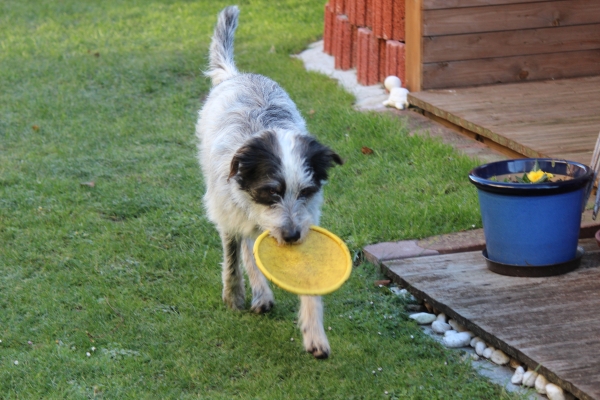 Bildersammlung - unsortiert und nicht kommentiert