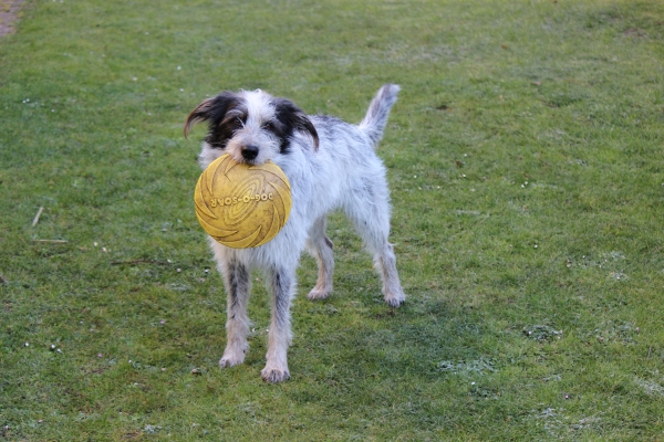 Bildersammlung - unsortiert und nicht kommentiert