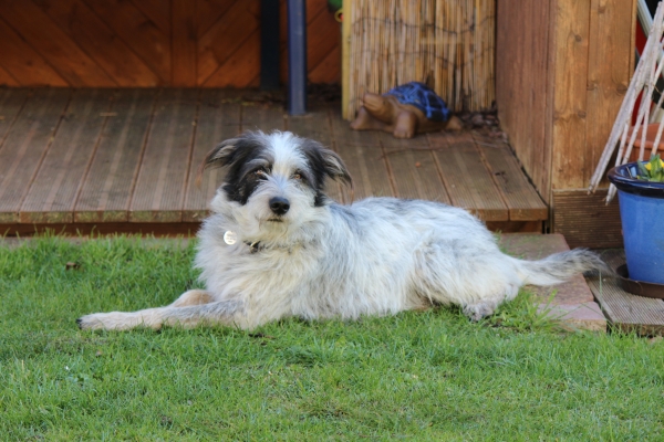 Bildersammlung - unsortiert und nicht kommentiert