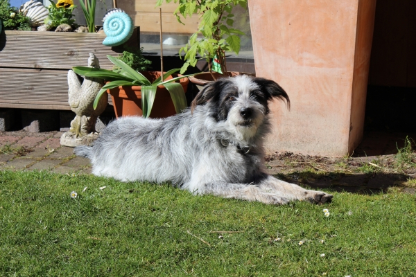 Bildersammlung - unsortiert und nicht kommentiert