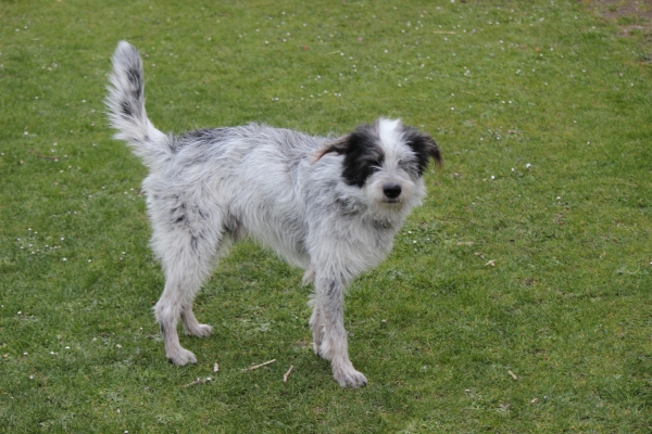 Bildersammlung - unsortiert und nicht kommentiert