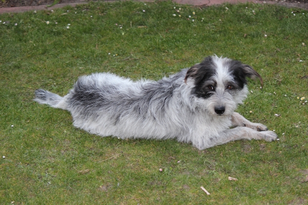 Bildersammlung - unsortiert und nicht kommentiert