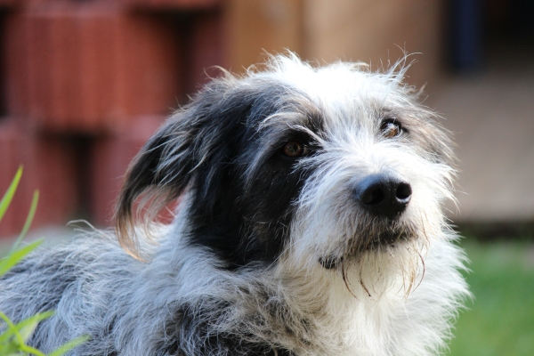 Bildersammlung - unsortiert und nicht kommentiert