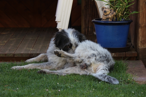 Bildersammlung - unsortiert und nicht kommentiert