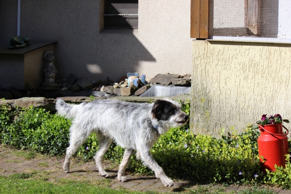 Bildersammlung - unsortiert und nicht kommentiert