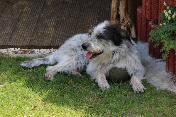 Bildersammlung - unsortiert und nicht kommentiert