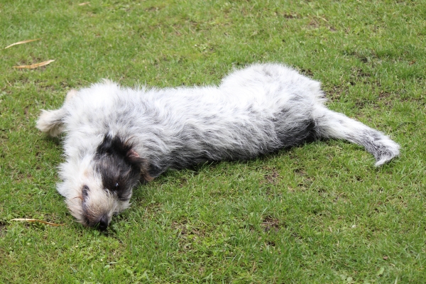 Bildersammlung - unsortiert und nicht kommentiert