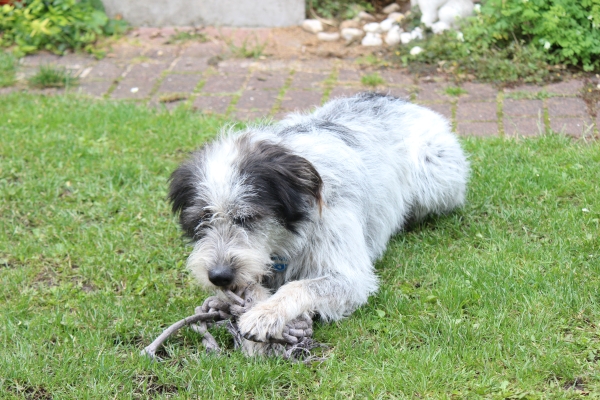 Bildersammlung - unsortiert und nicht kommentiert