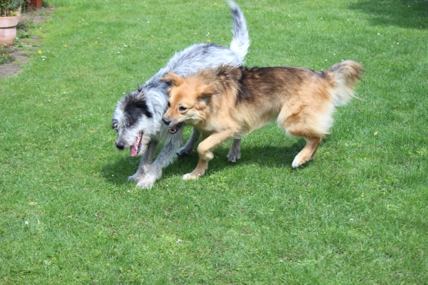 Bildersammlung - unsortiert und nicht kommentiert