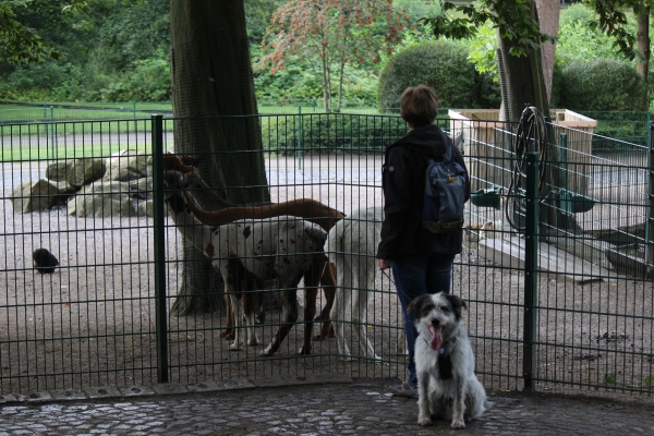 Bildersammlung - unsortiert und nicht kommentiert