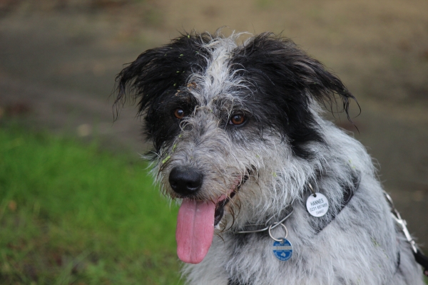 Bildersammlung - unsortiert und nicht kommentiert