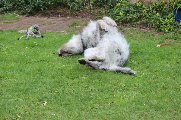 Bildersammlung - unsortiert und nicht kommentiert