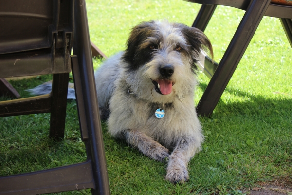 Bildersammlung - unsortiert und nicht kommentiert