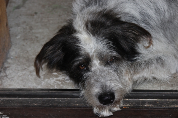 Bildersammlung - unsortiert und nicht kommentiert