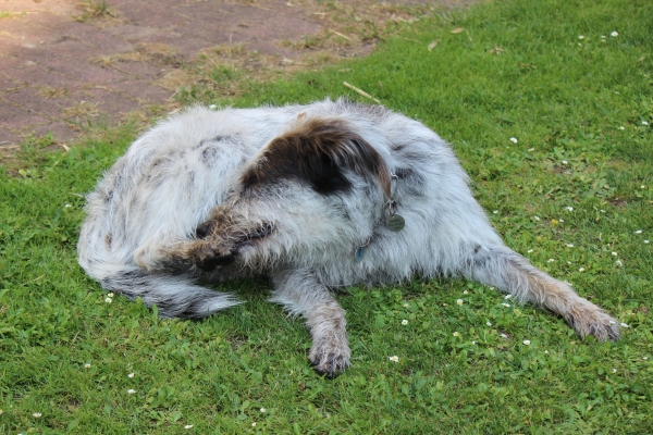 Bildersammlung - unsortiert und nicht kommentiert