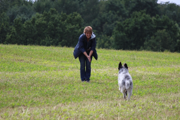 Bildersammlung - unsortiert und nicht kommentiert