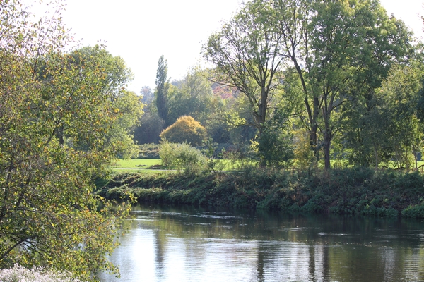 Hundewiese am 19.10.22