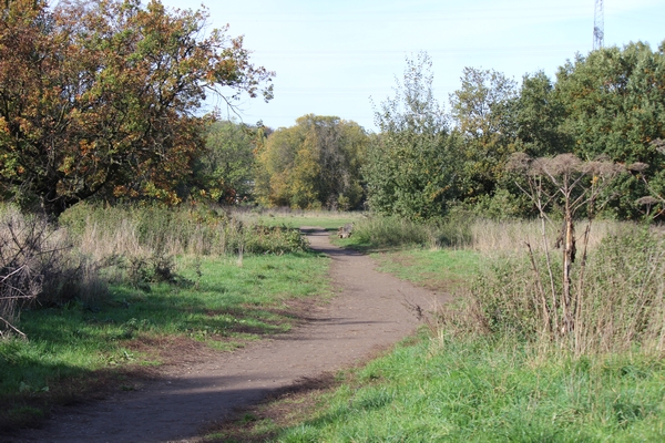 Hundewiese am 19.10.22