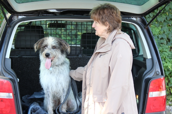 Hundewiese am 19.10.22