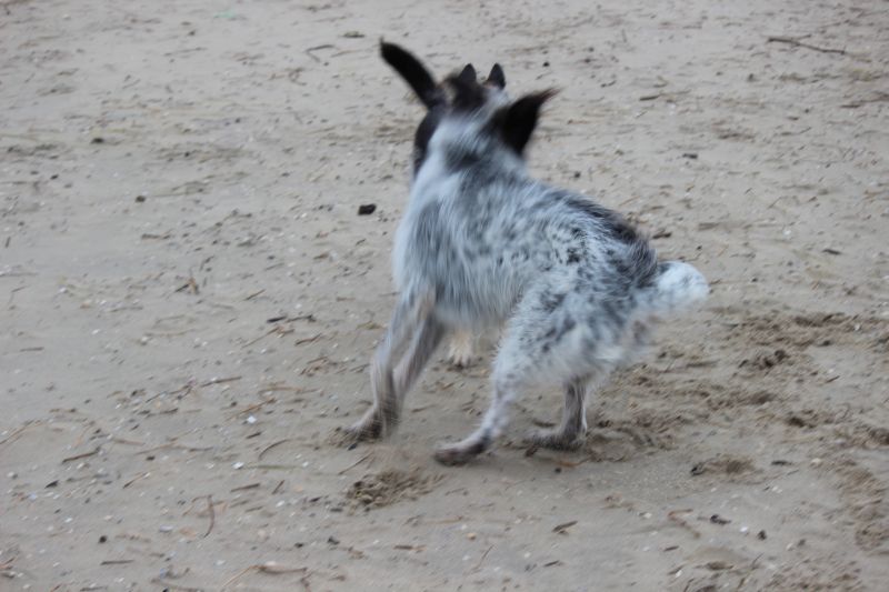 Letzter Strandtag mit neuer Freundin Berta