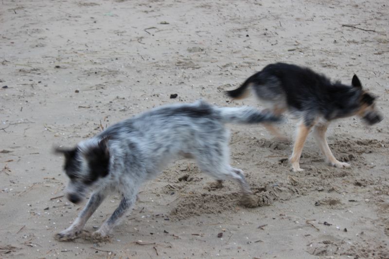 Letzter Strandtag mit neuer Freundin Berta