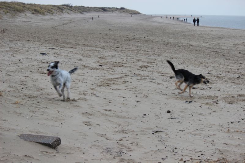 Letzter Strandtag mit neuer Freundin Berta