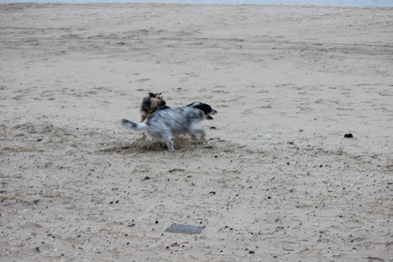 Letzter Strandtag mit neuer Freundin Berta