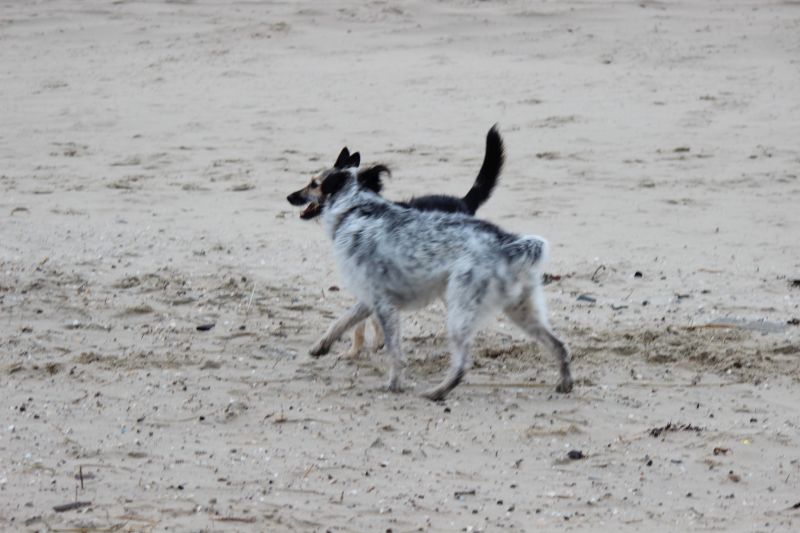 Letzter Strandtag mit neuer Freundin Berta