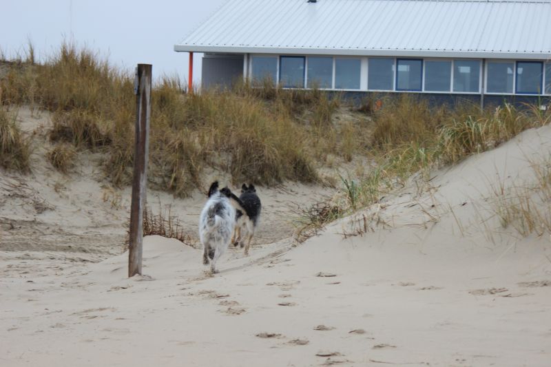 Letzter Strandtag mit neuer Freundin Berta