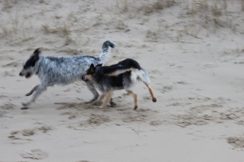 Letzter Strandtag mit neuer Freundin Berta