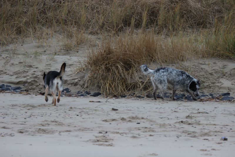 Letzter Strandtag mit neuer Freundin Berta