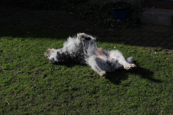 Bildersammlung - unsortiert und nicht kommentiert