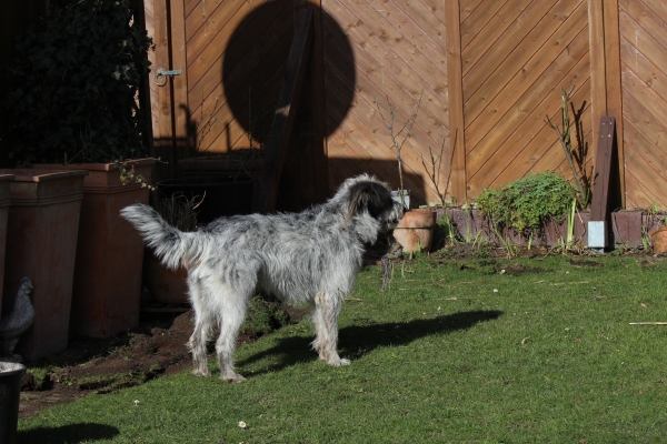 Bildersammlung - unsortiert und nicht kommentiert