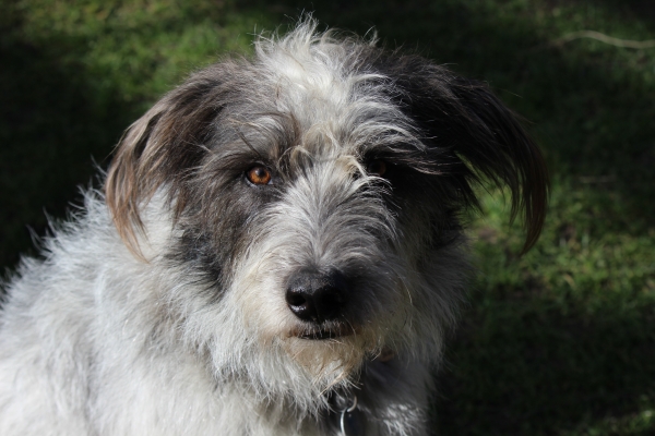 Bildersammlung - unsortiert und nicht kommentiert