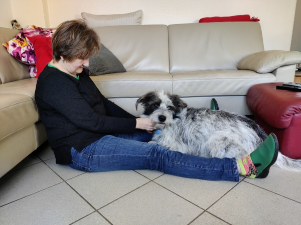 Bildersammlung - unsortiert und nicht kommentiert