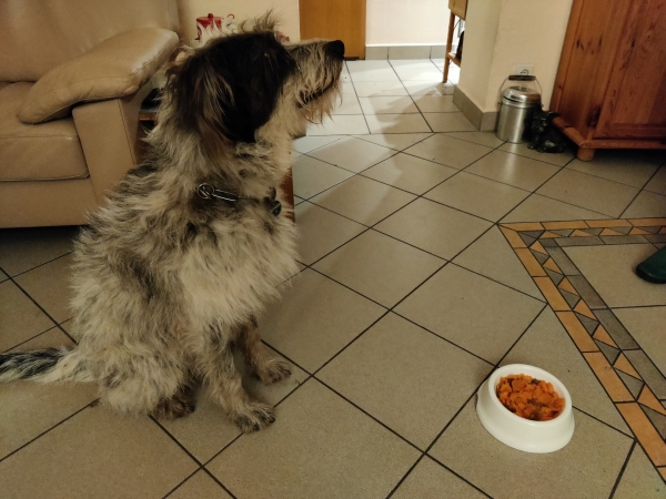 Bildersammlung - unsortiert und nicht kommentiert