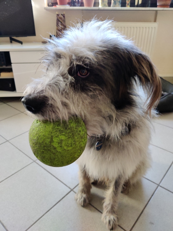 Bildersammlung - unsortiert und nicht kommentiert