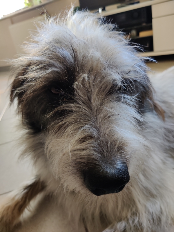 Bildersammlung - unsortiert und nicht kommentiert