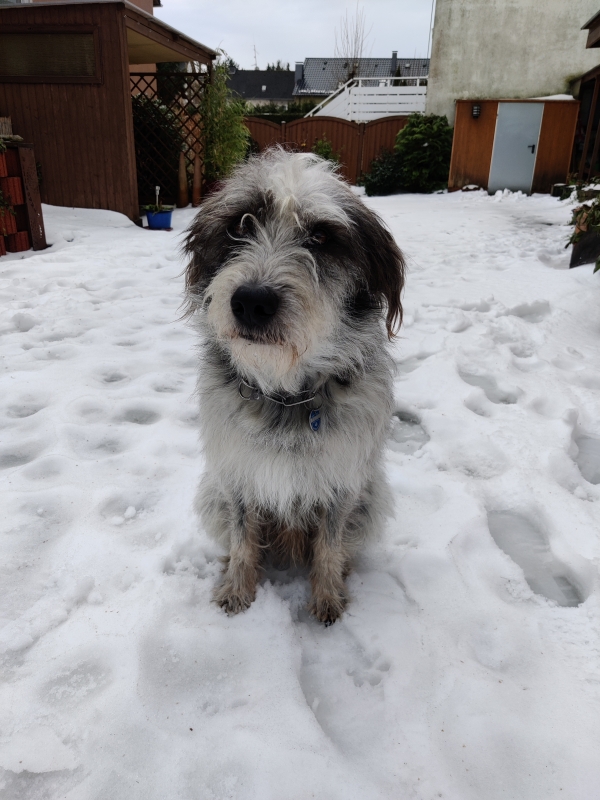 Bildersammlung - unsortiert und nicht kommentiert