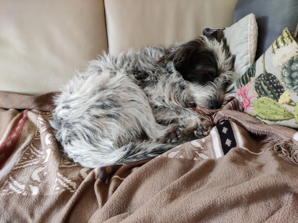 Bildersammlung - unsortiert und nicht kommentiert