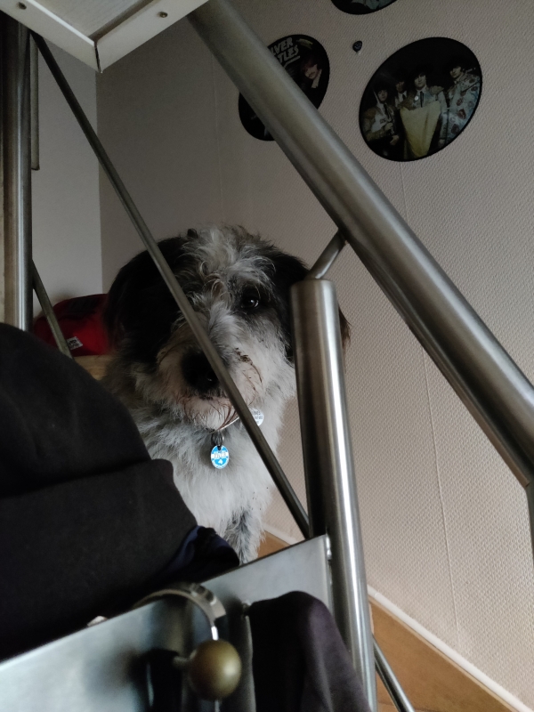 Bildersammlung - unsortiert und nicht kommentiert