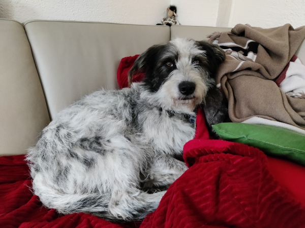 Bildersammlung - unsortiert und nicht kommentiert