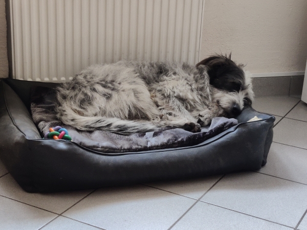 Bildersammlung - unsortiert und nicht kommentiert