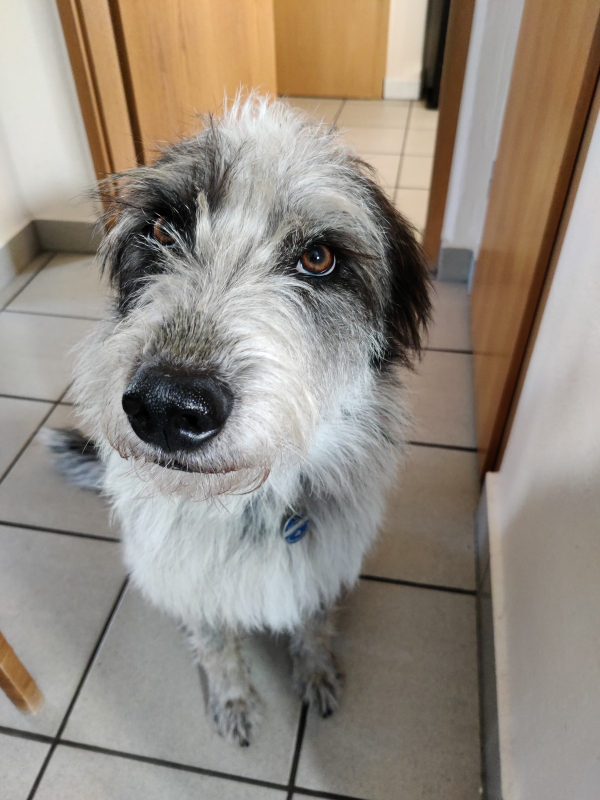 Bildersammlung - unsortiert und nicht kommentiert