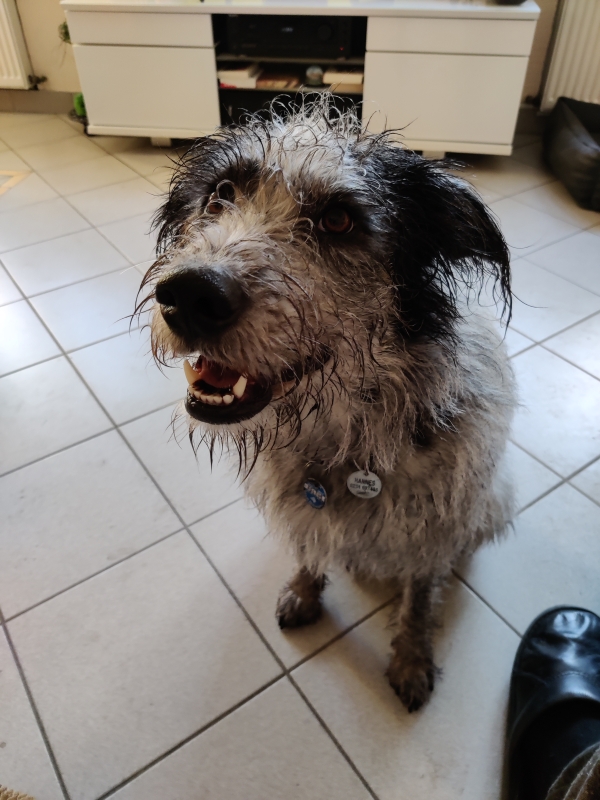 Bildersammlung - unsortiert und nicht kommentiert