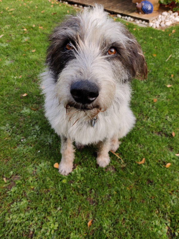 Bildersammlung - unsortiert und nicht kommentiert