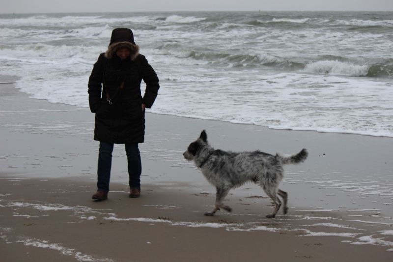 Am Strand von Texel