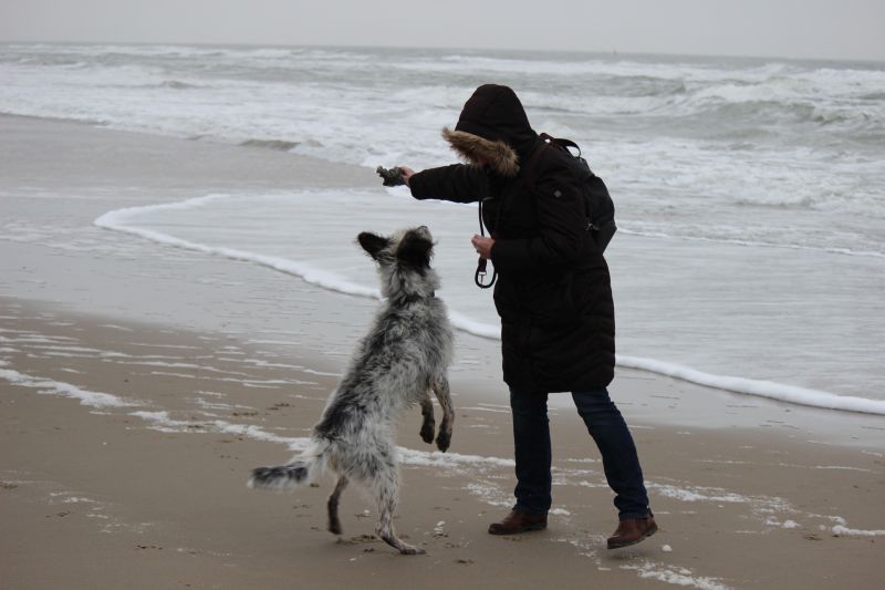 Am Strand von Texel